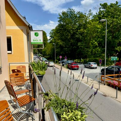Aussicht vom Sigl's Bad Schandau