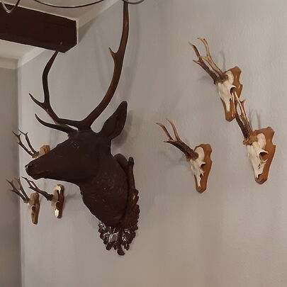 Dekoration im Restaurant Forsthaus Kirnitzschtal