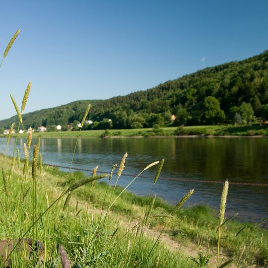Elbufer in Bad Schandau in der Sächsischen Schweiz
