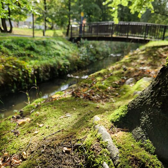 Kurpark in Bad Schandau in der Sächsischen Schweiz