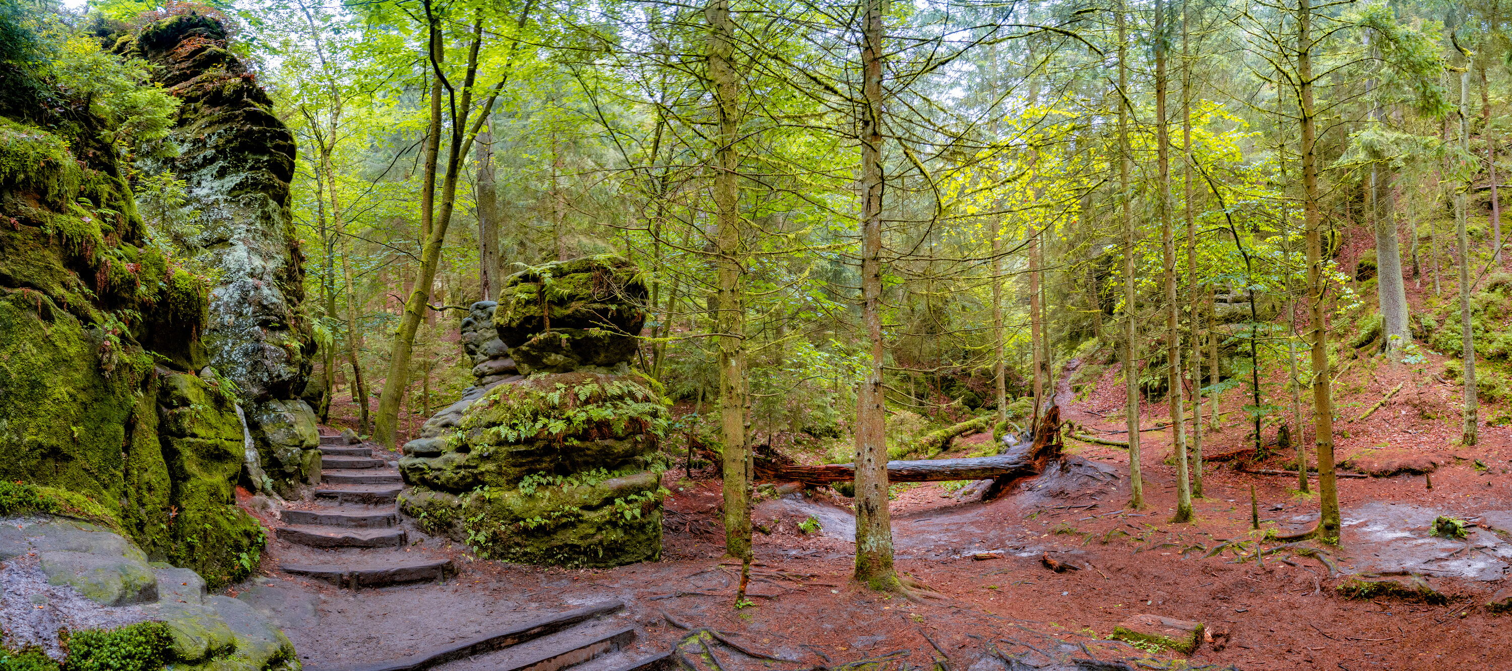 Wanderweg Schwedenlöcher im Nationalpark Sächsische Schweiz