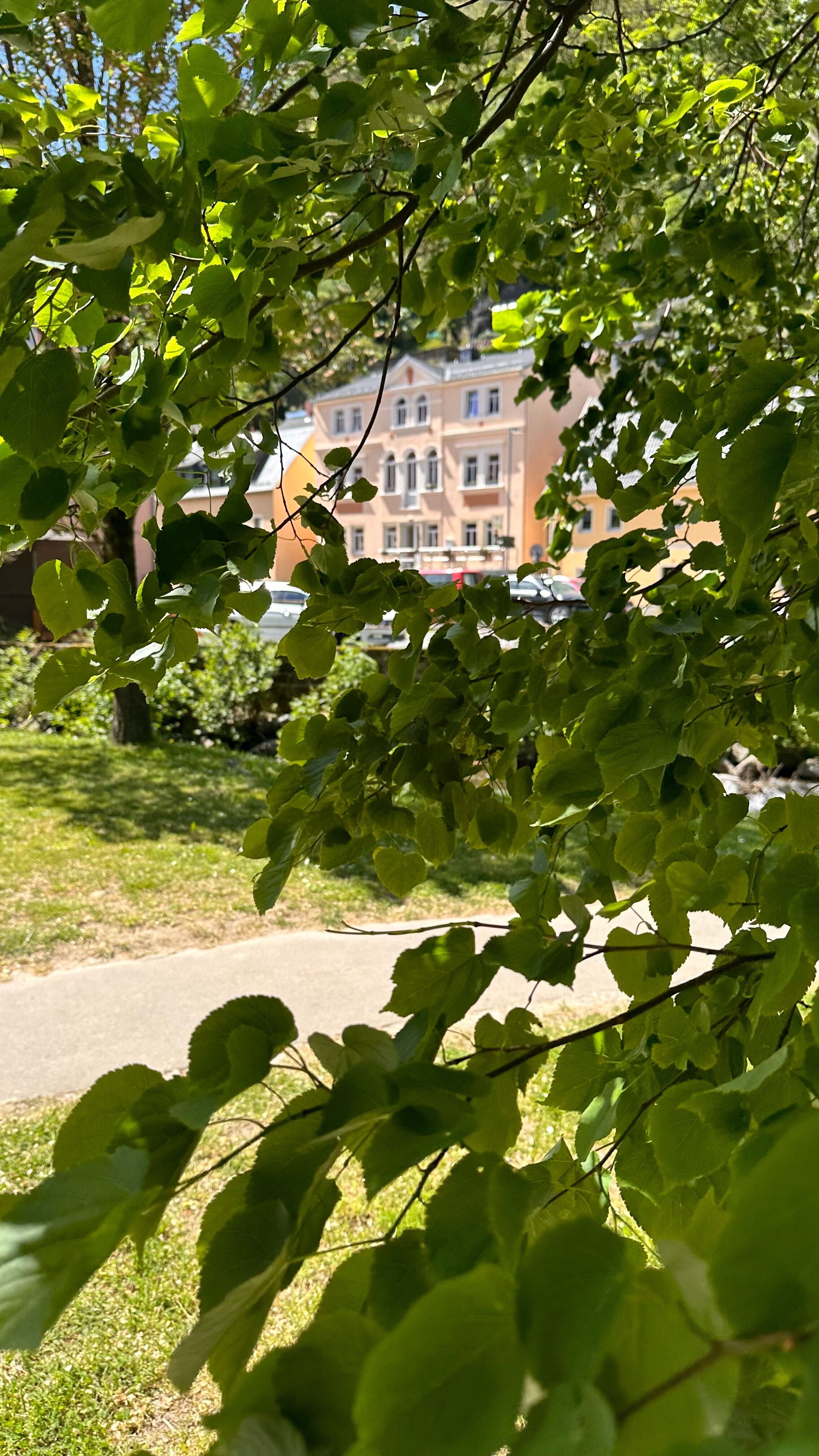 Hotel Sigl's in Bad Schandau