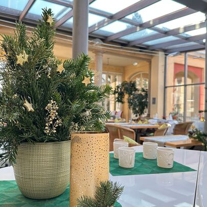 Weihnachtsdeko im Wintergarten vom Parkhotel Bad Schandau
