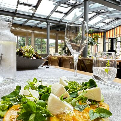 Salat mit Ziegenkäse von der Sommerkarte im Parkhotel Bad Schandau