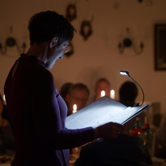 Forsthaus im Kirnitzschtal - Gänse.Geschichten zur Weihnachtszeit