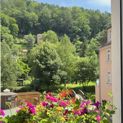Blick aus Zimmer im Sigl's Bad Schandau