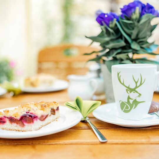 Essen auf Terrasse in Forsthaus Kirnitzschtal Pura